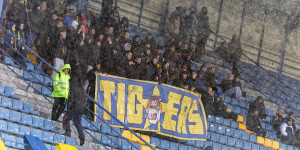 Οι Tigers βρέθηκαν στην Κρήτη για τα παιχνίδια της μεγάλης τους αγάπης