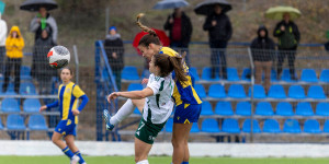 Τα highlights του Παναθηναϊκός - ΑΣΤΕΡΑΣ