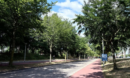 Bergen op Zoom: Το "σπίτι" του Αστέρα AKTOR στην προετοιμασία του στην Ολλανδία