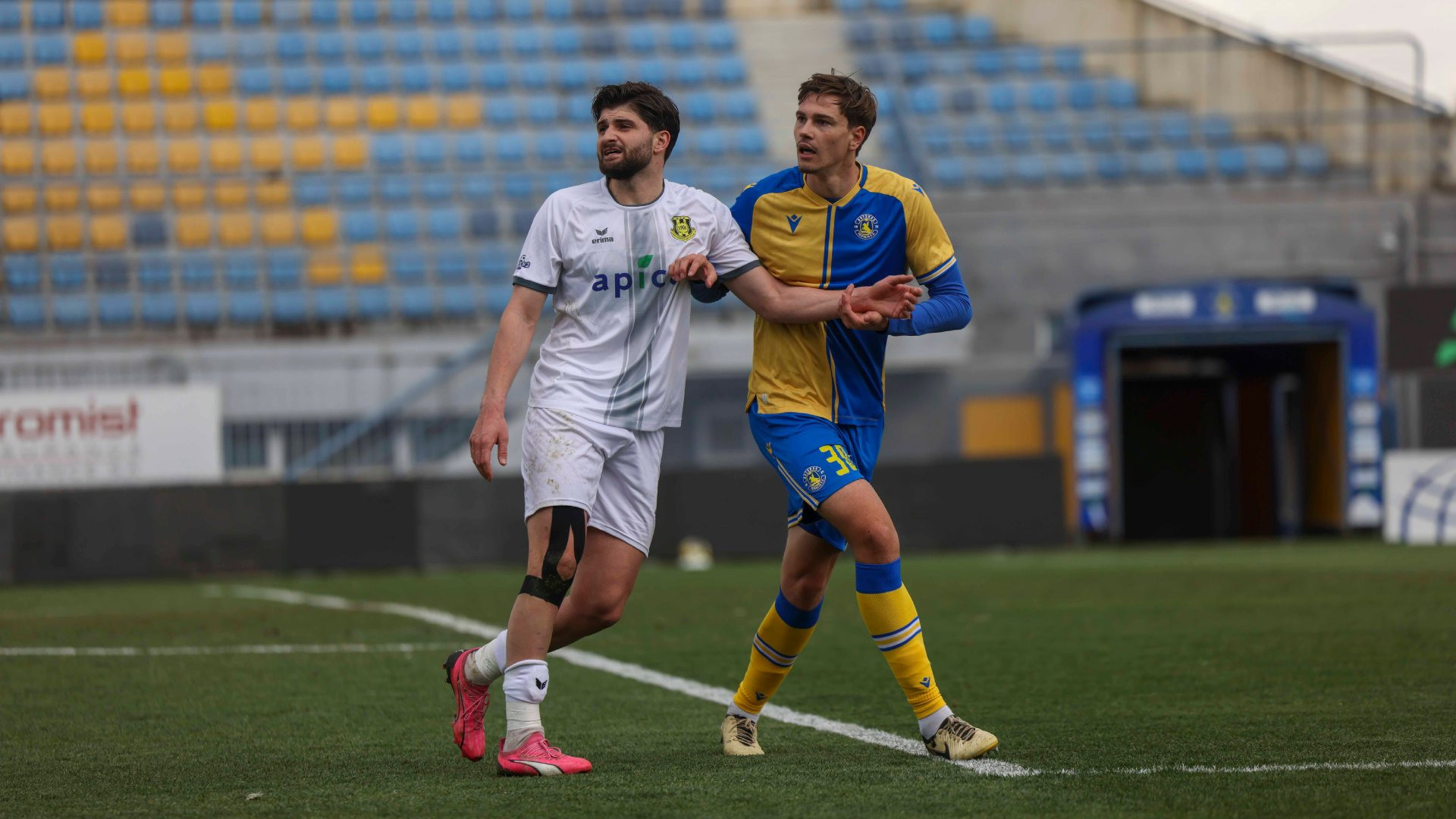 Αναγέννηση Καρδίτσας - Αστέρας Β' AKTOR 2-2: Αλύγιστοι!