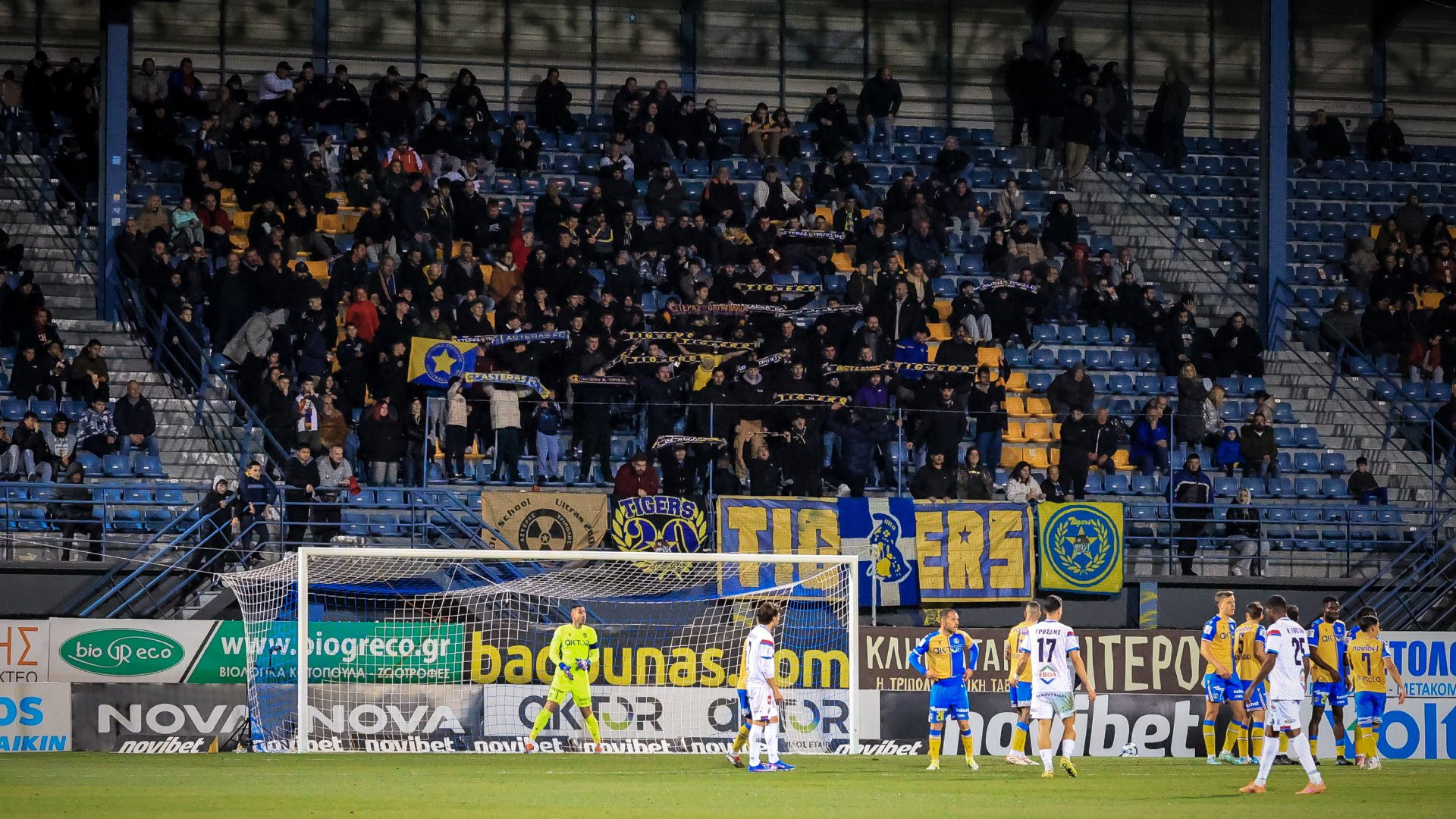 Tigers:  "Η ομάδα είτε πέσει είτε σωθεί θα πρέπει να γίνει με αξιοπρέπεια!"